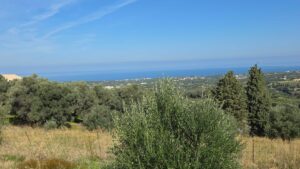 Plot of land, Kirianna, Arkadi