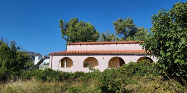 Agouseliana 1