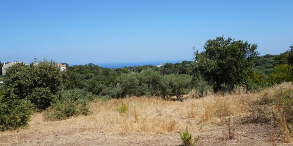 DSC00086