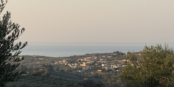 IMG_0589